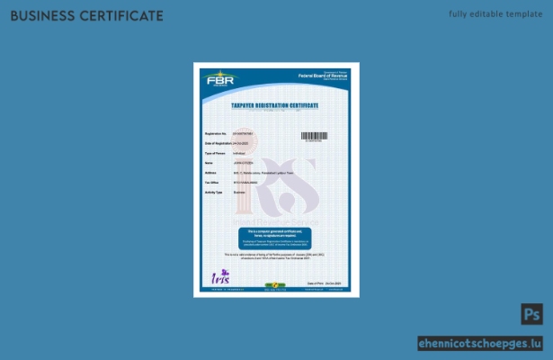 Beispiel für eine pakistanische Steuerzahlerregistrierungsbescheinigung (Word- und PDF-Datei)